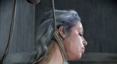 Restrained female Alyssa Lynn endures tits torture and and being hung