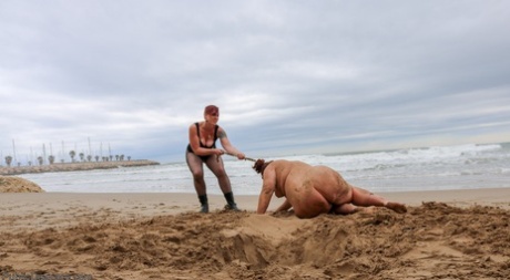 Slutty BBW Mimosa eats pussy while buried up to her neck in a kinky BDSM scene